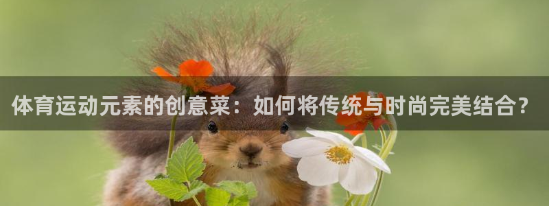 oety欧亿：体育运动元素的创意菜：如何将传统与时尚完美结合？