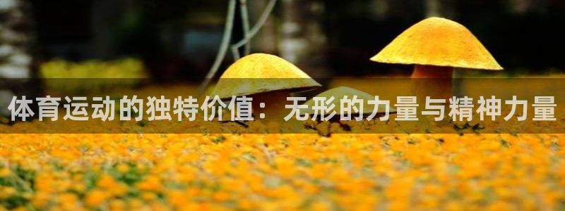 oety欧亿：体育运动的独特价值：无形的力量与精神力量