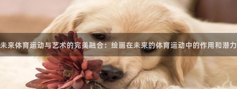 oety欧亿