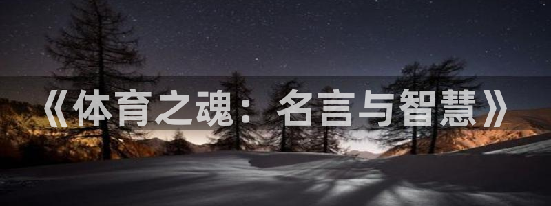 oety欧亿